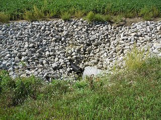 Property photo 6 - LAND AUCTION - 462+/- ACRES OFFERED IN 7 TRACTS IN GRANT COUNTY, IN